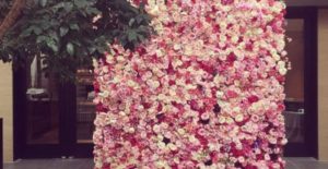 קיר פרחים לחתונה - פניקס אירועים